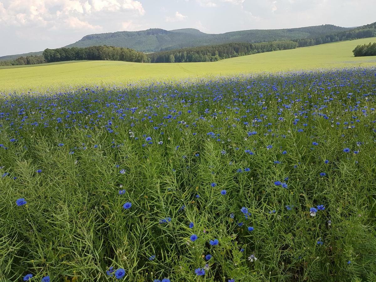 Ferienwohnungen Hering Kleingiesshubel エクステリア 写真